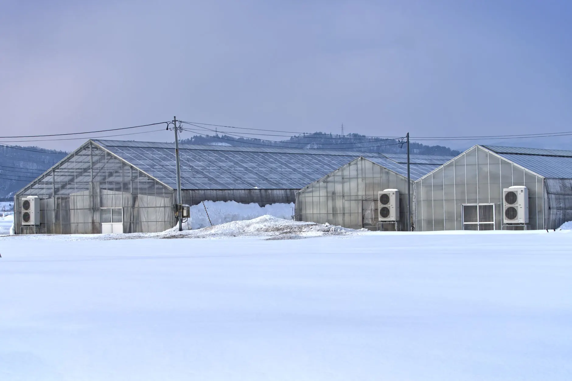 陕西生物科技企业如何构建保健食品全链条质量管控体系