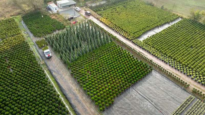 陕西生物科技保健品行业2025年监管新规对企业研发生产的影响分析