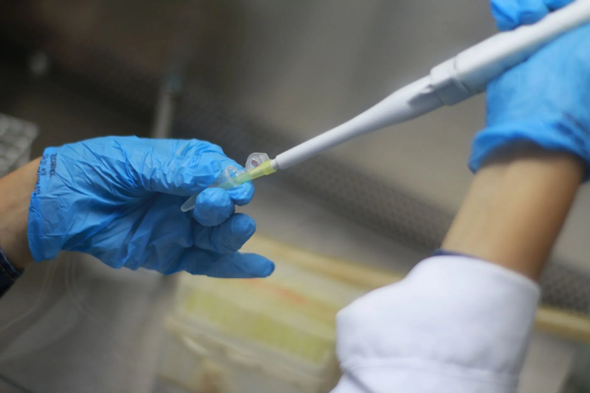 科曼生物保健食品与健康产品对比分析及适用场景推荐