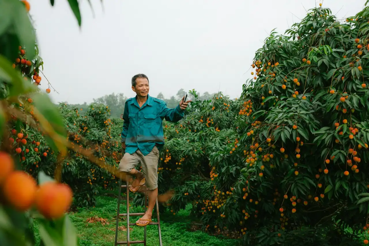 陕西生物科技企业保健食品研发备案流程与合规要点解析封面图