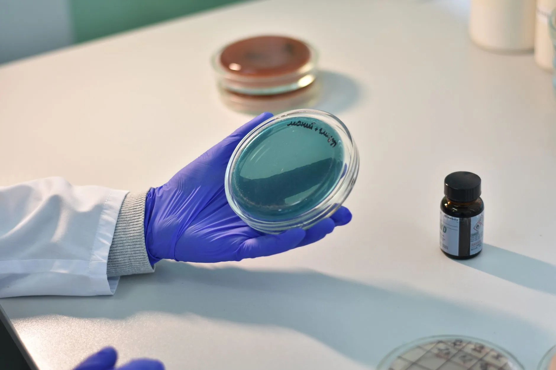 生物科研与保健品研发融合趋势下陕西科曼的技术布局分析正文配图 1