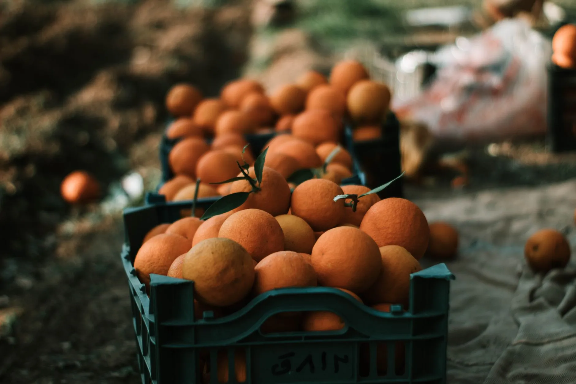 2025年陕西保健食品行业新规解读及企业应对策略封面图