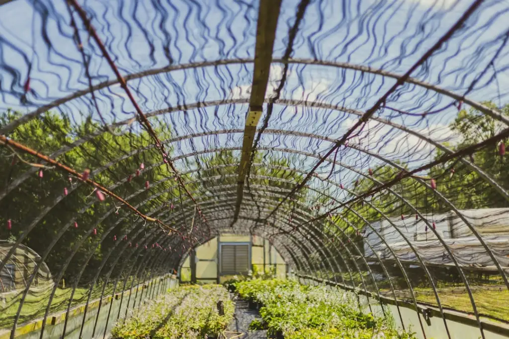 陕西科曼解析保健食品生产工艺中的质量管控要点