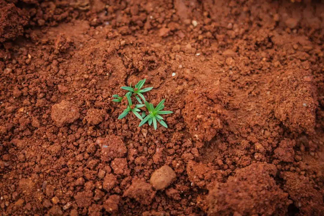2025年生物科技保健品行业监管新规对陕西企业的影响分析